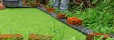 ग्रीन स्टार अवॉर्ड की अंतिम तिथि 25 दिसंबर