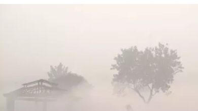 देश के कई राज्यों में छाया घना कोहरा, देखे कहा कितनी विजिबिलिटी