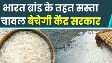 Bharat Rice: सिर्फ 25 रुपये किलो में चावल बेचेगी सरकार