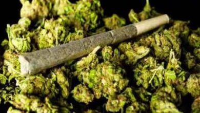 BHILAI : 33 किलो गांजा के साथ 3 तस्कर गिरफ्तार, पुलिस ने नाकेबंदी कर पकड़ा BHILAI : 33 किलो गांजा के साथ 3 तस्कर गिरफ्तार, पुलिस ने नाकेबंदी कर पकड़ा