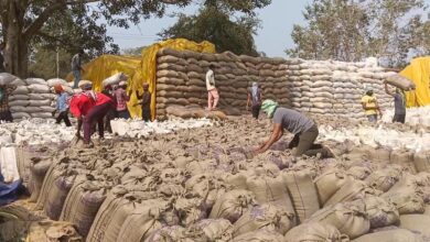 रात 3 बजे से धान बेचने किसान उपार्जन केंद्रों में लगा रहे लाइन, उठाव नहीं होने से बढ़ी समस्या रात 3 बजे से धान बेचने किसान उपार्जन केंद्रों में लगा रहे लाइन, उठाव नहीं होने से बढ़ी समस्या