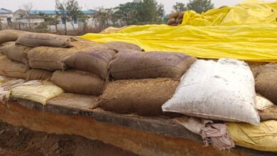 धान खरीदी में अनियमितता 11 सेवा सहकारी समिति के समिति प्रबंधक और कंप्यूटर ऑपरेटर पर बड़ी कार्रवाई