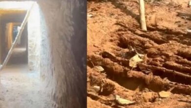 Chhattisgarh: दंतेवाड़ा में सुरक्षाबलों ने नक्सलियों द्वारा बनाई गई सुरंग खोज निकाली, देखिए वीडियो