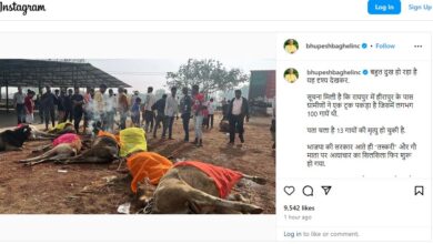 CG NEWS : 80 मवेशियों से भरी ट्रक को ग्रामीणों ने पकड़ा, 10 की हो चुकी थी मौत