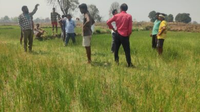 बिजली आपूर्ति ठप्प, ग्रामीणों में रोष, लोडिंग बढ़ने के चलते नहीं हो पा रही आपूर्ति बिजली आपूर्ति ठप्प, ग्रामीणों में रोष, लोडिंग बढ़ने के चलते नहीं हो पा रही आपूर्ति