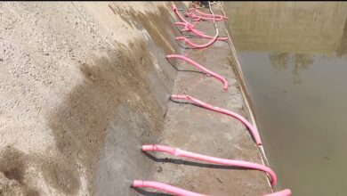 वन विभाग में बडा भ्रष्टाचार, नवनिर्मित 1 करोड 20 लाख के स्टाॅप डेम में छेद, एक दर्जन से अधिक स्थानो पर सीपेज वन विभाग में बडा भ्रष्टाचार, नवनिर्मित 1 करोड 20 लाख के स्टाॅप डेम में छेद, एक दर्जन से अधिक स्थानो पर सीपेज