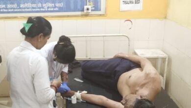 मधुमक्खियों के हमले से डिप्टी रेंजर घायल अस्पताल में चल रहा उपचार मधुमक्खियों के हमले से डिप्टी रेंजर घायल अस्पताल में चल रहा उपचार