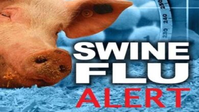 Swine Flu : राजस्थान में स्वाइन फ्लू का अलर्ट, जयपुर में मिले 17 मरीज Swine Flu : राजस्थान में स्वाइन फ्लू का अलर्ट, जयपुर में मिले 17 मरीज
