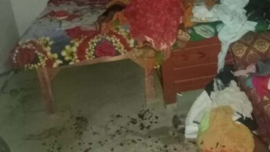 ट्रिपल मर्डर से सनसनी , पति-पत्नी और मासूम की हत्या, मचा हड़कम्प ट्रिपल मर्डर से सनसनी , पति-पत्नी और मासूम की हत्या, मचा हड़कम्प