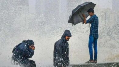 Monsoon 2024 : देश में मानसून की हुई एंट्री, केरल में हो रही जमकर बारिश