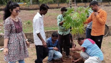 परमार्थी संस्थान ने दुर्ग भिलाई में किये वृक्षआरोपण