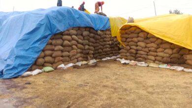 धान खरीदी में गंभीर अनियमितता बरतने वाले उर्पाजन केन्द्र के प्रभारियों के विरूद्ध होगी कार्यवाही धान खरीदी में गंभीर अनियमितता बरतने वाले उर्पाजन केन्द्र के प्रभारियों के विरूद्ध होगी कार्यवाही