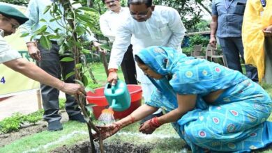 मुख्यमंत्री साय की विशेष पहल : बस्तर अंचल में आस्था के केन्द्रों पर होगी हरियाली