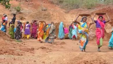 मजदूरों को रोजगार देने में अव्वल कवर्धा, कई बड़े जिलों को छोड़ा पीछे