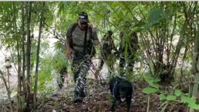 ब्रेकिंग : सुरक्षाबलों और नक्सलियों के बीच जबरदस्त मुठभेड़, बड़ी संख्या में नक्सलियों के मारे जाने की आशंका