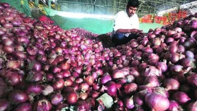 सरकार ने खरीदा 71 हजार टन प्याज, खुदरा कीमतों में आएगी कमी