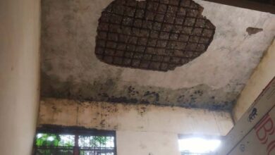 भरभरा कर गिरी गल्स कॉलेज का प्लास्टर, बड़ा हादसा टला, जर्जर भवन का मरम्मत पर ध्यान नही भरभरा कर गिरी गल्स कॉलेज का प्लास्टर, बड़ा हादसा टला, जर्जर भवन का मरम्मत पर ध्यान नही