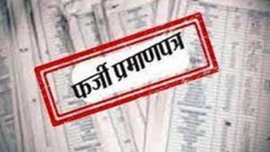 छत्‍तीसगढ़ : फर्जी जाति प्रमाण पत्र से हासिल की थी सरकारी नौकरी, अब होगी कार्रवाई