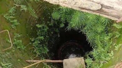 कुएं में गिरे पिता को बचाने बेटी समेत चार लोगों की हुई मौत, एक ही दिन में लोगों की मौत