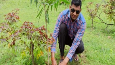 एक पेड़ मां के नाम अभियान ऋषिकांत कुंभकार ने मुक्तिधाम में रोपे फलदार एवं छायादार पौधे