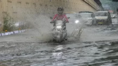 मानसून बस्तर पहुँचा, बारिस होने की संभावना