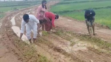 पक्की सड़क की मांग को लेकर गांववालों ने कच्चे मार्ग में धान की रोपाई कर लगाई गुहार