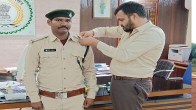 वनपाल से उप वनक्षेत्रपाल के पदोन्नत होने पर वनमंडलाधिकारी नें किया कर्मचारी का स्टार अलंकरण वनपाल से उप वनक्षेत्रपाल के पदोन्नत होने पर वनमंडलाधिकारी नें किया कर्मचारी का स्टार अलंकरण