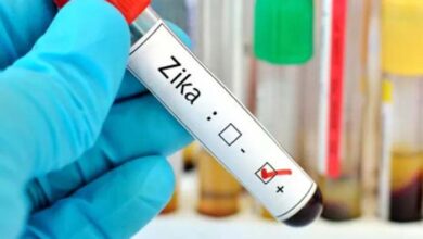 Zika Virus In India: इस राज्य में मिल रहे जीका वायरस से संक्रमित मरीज, गर्भवती महिलाओं को गंभीर खतरा Zika Virus In India: इस राज्य में मिल रहे जीका वायरस से संक्रमित मरीज, गर्भवती महिलाओं को गंभीर खतरा