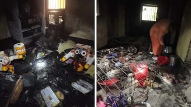 बांग्लादेश में हिंसक भीड़ ने जलाया इस्कॉन मंदिर, भगवद गीता को लगाई आग बांग्लादेश में हिंसक भीड़ ने जलाया इस्कॉन मंदिर, भगवद गीता को लगाई आग