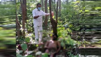 पेड़ पर लटकी हुई मिली युवक की सड़ी-गली लाश, शिनाख्त में जुटी पुलिस