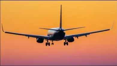 рдПрдЕрд░ рдЗрдВрдбрд┐рдпрд╛ рдХреА рдлреНрд▓рд╛рдЗрдЯ рдореЗрдВ рдмрдо рдХреА рдзрдордХреА, рдпрд╛рддреНрд░рд┐рдпреЛрдВ рдХреЛ рдмрд╛рд╣рд░ рдирд┐рдХрд╛рд▓рд╛ рдПрдЕрд░ рдЗрдВрдбрд┐рдпрд╛ рдХреА рдлреНрд▓рд╛рдЗрдЯ рдореЗрдВ рдмрдо рдХреА рдзрдордХреА, рдпрд╛рддреНрд░рд┐рдпреЛрдВ рдХреЛ рдмрд╛рд╣рд░ рдирд┐рдХрд╛рд▓рд╛