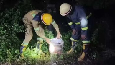 कालिंदी एक्सप्रेस को उड़ाने की साजिश नाकाम, ट्रैक पर रखा था LPG सिलेंडर और…