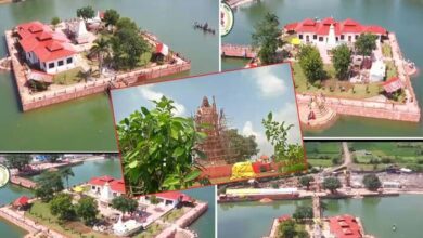माता कौशल्या मंदिर प्रांगण से चोरी , सी सी टी वी कैमरा में कैद चोर