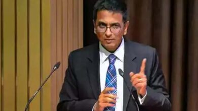 ये कोई कॉफी शॉप नहीं है, सुनवाई के दौरान वकील पर भड़के CJI डीवाई चंद्रचूड़