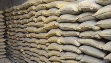 छत्तीसगढ़ में 45 रुपए घटे सीमेंट के दाम छत्तीसगढ़ में 45 रुपए घटे सीमेंट के दाम