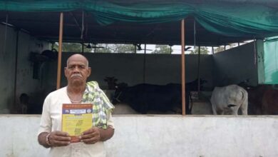पशु शेड से डेयरी व्यवसाय को मिला बढ़ावा, होने लगा 20 से 22 हजार रूपए प्रतिमाह की आमदनी
