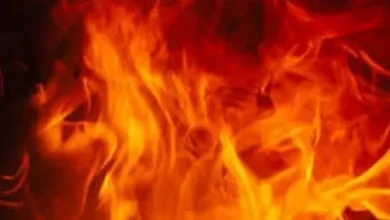 टाइम्स टॉवर बिल्डिंग में लगी भीषण आग, कोई हताहत नहीं टाइम्स टॉवर बिल्डिंग में लगी भीषण आग, कोई हताहत नहीं