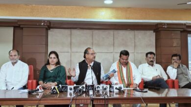 भाजपा विकास और कांग्रेस विनाश के लिए कार्य करती है-मीनल चौबे
