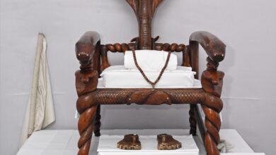 मुख्यमंत्री साय ने भण्डारपुरी धाम में गुरुगद्दी आसन के दर्शन कर प्रदेश की खुशहाली की कामना की