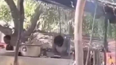 рдврд╛рдмреЗ рдкрд░ рдереВрдХрдХрд░ рд░реЛрдЯреА рдмрдирд╛ рд░рд╣рд╛ рдерд╛ рдпреБрд╡рдХ, рдкреБрд▓рд┐рд╕ рдиреЗ рд▓рд┐рдпрд╛ рдПрдХреНрд╢рди рдврд╛рдмреЗ рдкрд░ рдереВрдХрдХрд░ рд░реЛрдЯреА рдмрдирд╛ рд░рд╣рд╛ рдерд╛ рдпреБрд╡рдХ, рдкреБрд▓рд┐рд╕ рдиреЗ рд▓рд┐рдпрд╛ рдПрдХреНрд╢рди