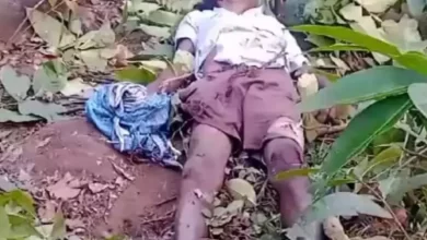 खेत की रखवाली कर रहे किसान का हाथी से सामना, दर्दनाक मौत