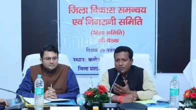 राठिया की अध्यक्षता में जिला विकास समन्वय और निगरानी समिति की बैठक संपन्न