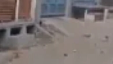 मस्जिद का सर्वे करने गई पुलिस टीम पर पथराव, जाने क्या है मामला