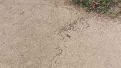 मंडी बोर्ड से बन रही सड़क पर उठ रहे सवाल, कलेक्टर के फटकार के 13 दिन बाद भी दोबारा सुधार नहीं मंडी बोर्ड से बन रही सड़क पर उठ रहे सवाल, कलेक्टर के फटकार के 13 दिन बाद भी दोबारा सुधार नहीं