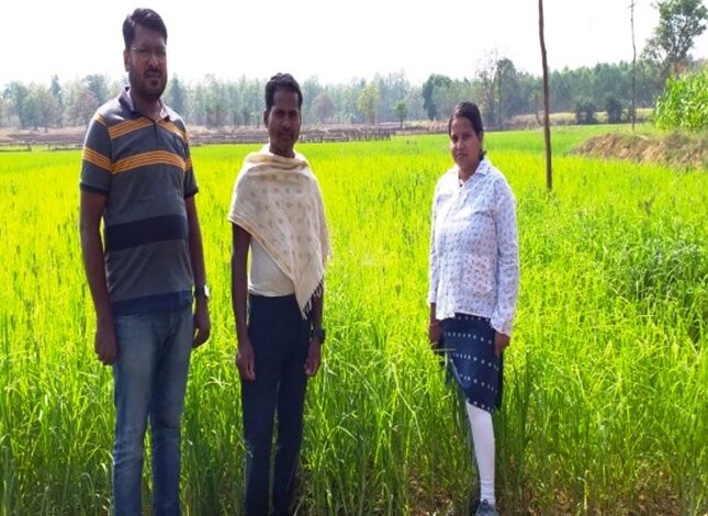उन्नत कृषि तकनीक को अपनाकर चैतू नेताम बना सफल कृषक उन्नत कृषि तकनीक को अपनाकर चैतू नेताम बना सफल कृषक