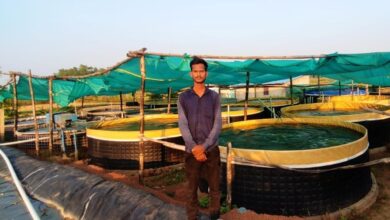 ग्रामीण युवा सुजीत कर रहे मछलीपालन से की लाखों की आमदनी ग्रामीण युवा सुजीत कर रहे मछलीपालन से की लाखों की आमदनी
