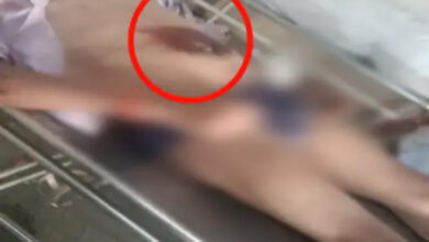 तेज रफ्तार कार ने युवक को कुचला,मौत