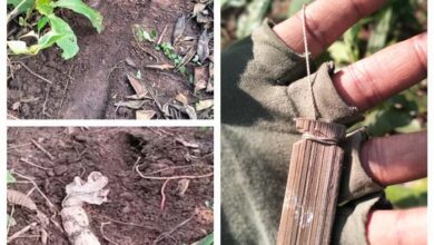 नक्सलियों ने प्रेशर स्वीच सिस्टम से जोड़कर लगाया था आईईडी…. नक्सलियों ने प्रेशर स्वीच सिस्टम से जोड़कर लगाया था आईईडी….