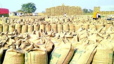 धान खरीदी: केंद्रों में संकट, मची हाहाकार, 80 खरीदी केंद्र बम्फर बफर जोन से ऊपर, उठाव शून्य के बराबर धान खरीदी: केंद्रों में संकट, मची हाहाकार, 80 खरीदी केंद्र बम्फर बफर जोन से ऊपर, उठाव शून्य के बराबर