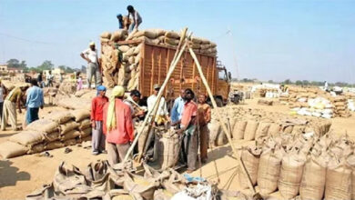 рдкрд┐рдЫрд▓реЗ рд╕рд╛рд▓ рдХреЗ рдзрд╛рди рдЦрд░реАрджреА рдХрд╛ рдЯреВрдЯрд╛ рд░рд┐рдХрд╛рд░реНрдб, рдЖрдВрдХрдбрд╝рд╛ 145 рд▓рд╛рдЦ рдореАрдЯреНрд░рд┐рдХ рдЯрди рд╕реЗ рдкрд╛рд░ рдкрд┐рдЫрд▓реЗ рд╕рд╛рд▓ рдХреЗ рдзрд╛рди рдЦрд░реАрджреА рдХрд╛ рдЯреВрдЯрд╛ рд░рд┐рдХрд╛рд░реНрдб, рдЖрдВрдХрдбрд╝рд╛ 145 рд▓рд╛рдЦ рдореАрдЯреНрд░рд┐рдХ рдЯрди рд╕реЗ рдкрд╛рд░